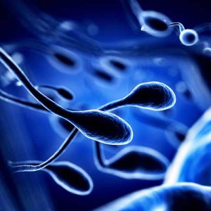 sperm 300x300 - تقویت اسپرم ها و اهمیت این موضوع!